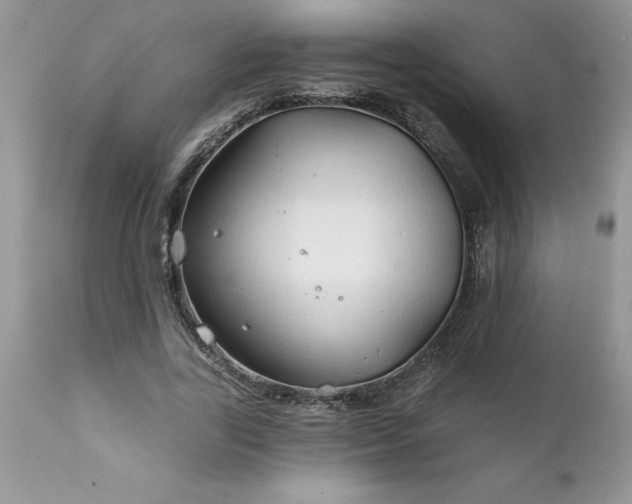 X0000111790731200907301144