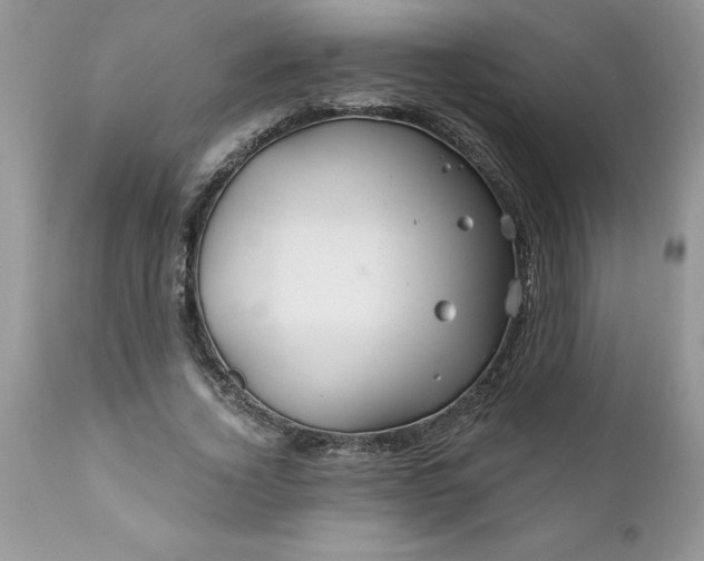 X0000111790732200907301144