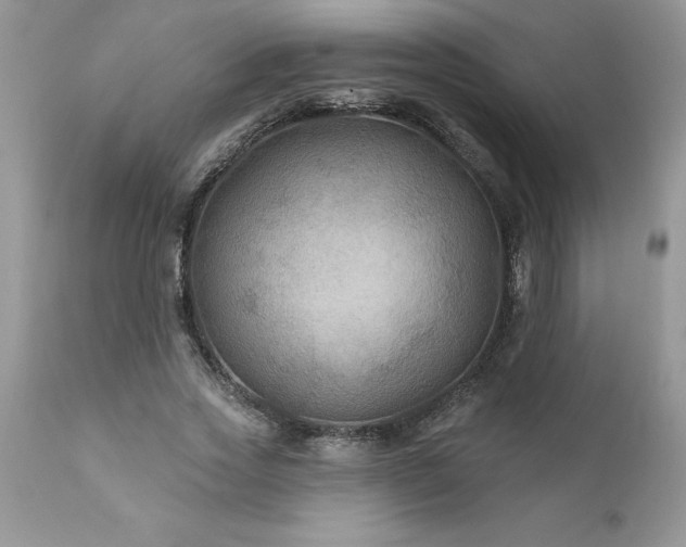 X0000111790733200907301144