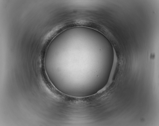 X0000111790734200907301145