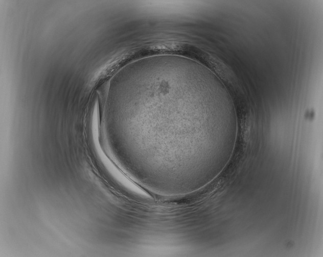 X0000111790735200907301145