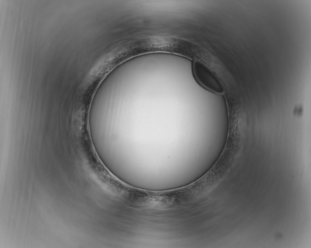 X0000111790736200907301145