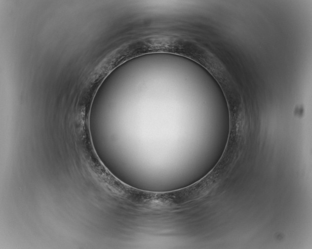 X0000111790737200907301145