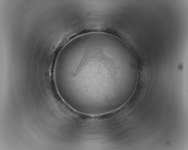 X0000111790739200907301145