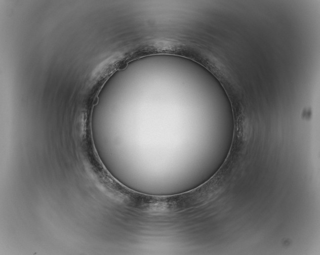 X0000111790740200907301145