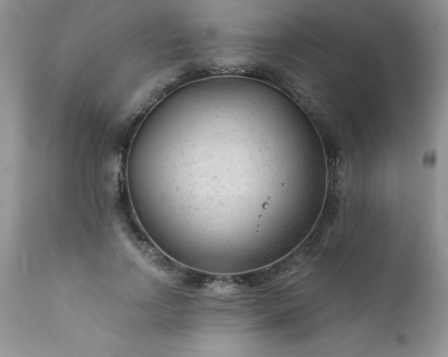 X0000111790742200907301145