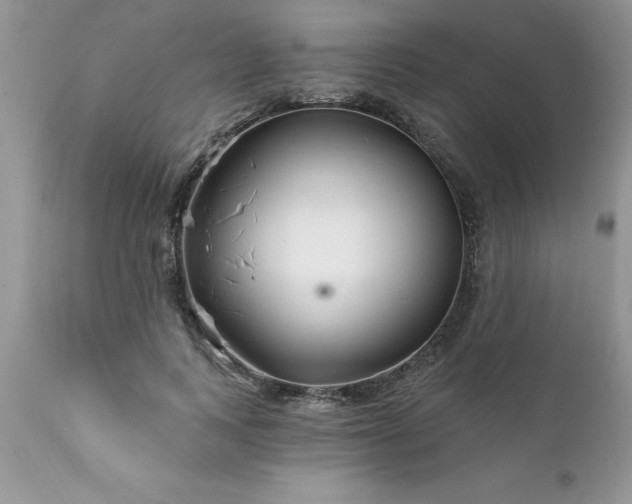 X0000111790743200907301145