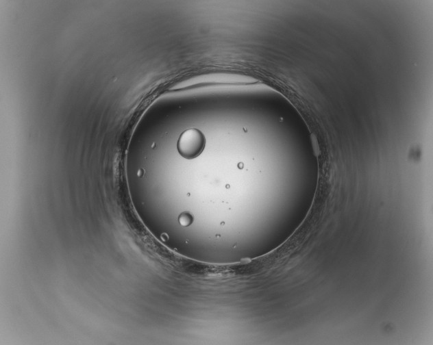 X0000111790744200907301145