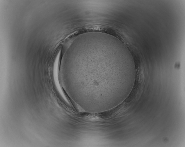 X0000111790747200907301145