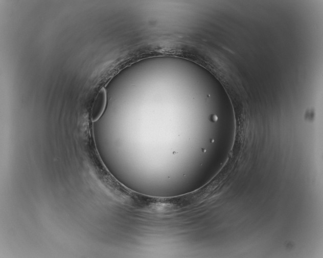 X0000111790748200907301145