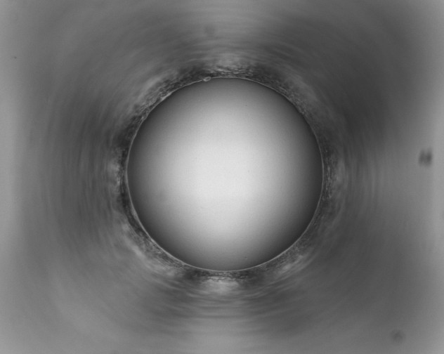 X0000111790749200907301145