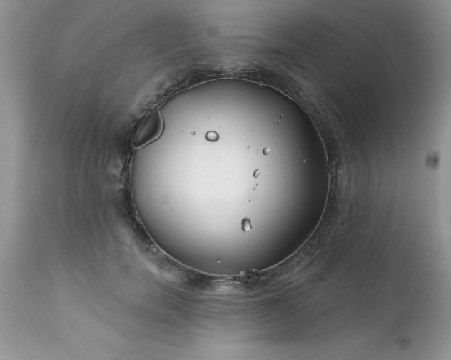 X0000111790750200907301145