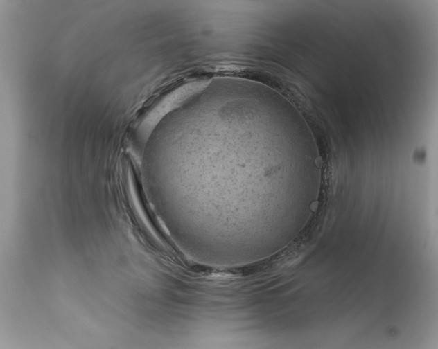 X0000111790751200907301145