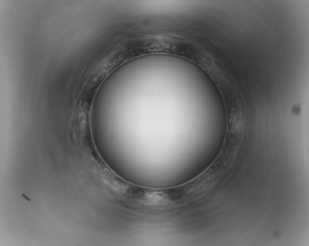 X0000111790753200907301145