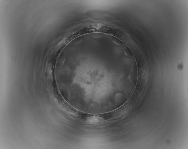 X0000111790754200907301145