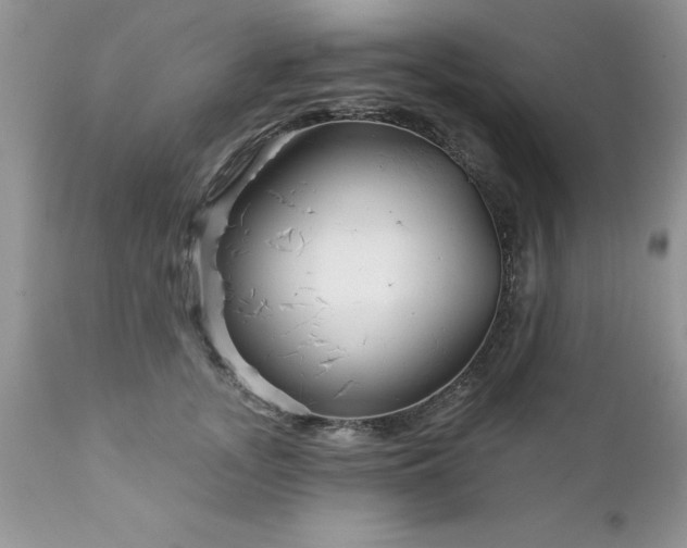 X0000111790755200907301145