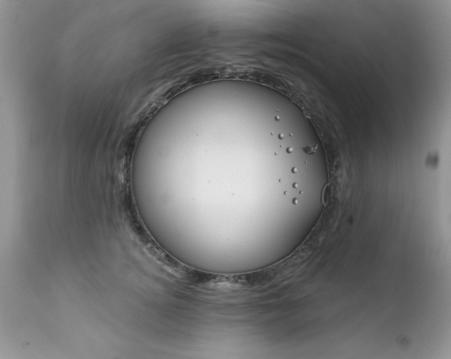 X0000111790756200907301145