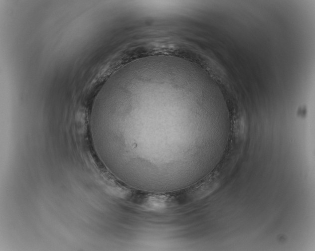 X0000111790757200907301145