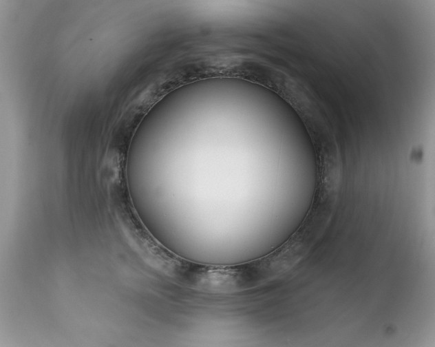 X0000111790758200907301145