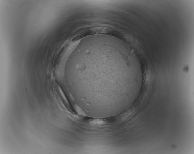 X0000111790759200907301145