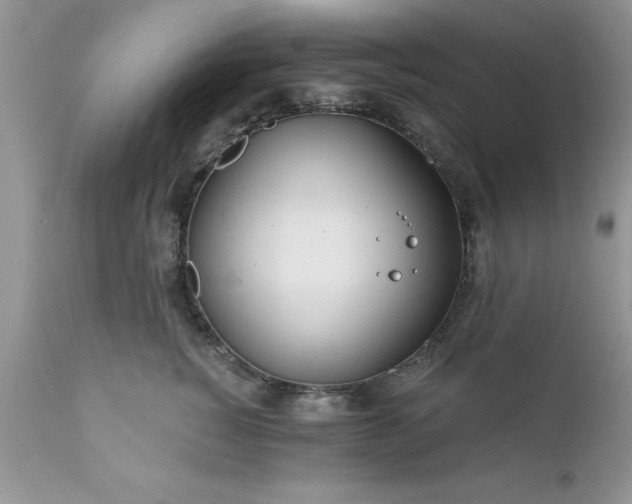 X0000111790760200907301145