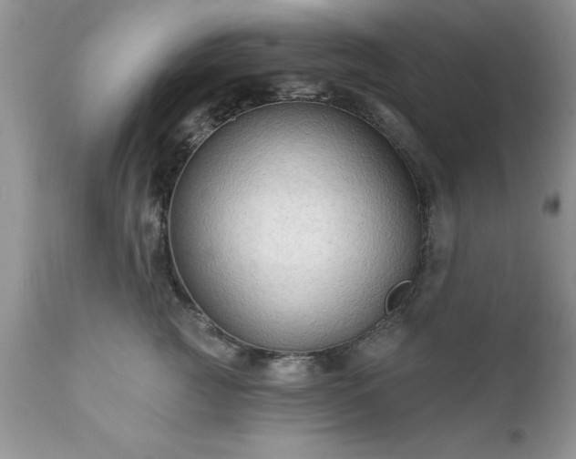 X0000111790761200907301145