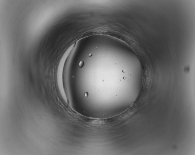 X0000111790762200907301145