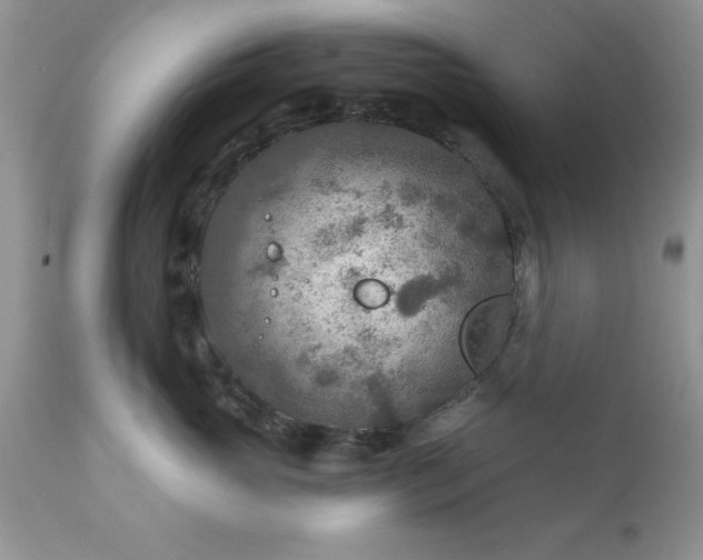 X0000111790765200907301145