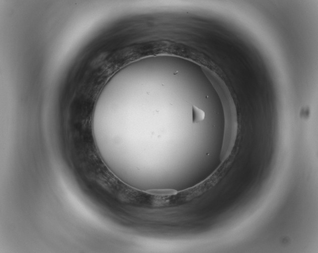 X0000111790766200907301145