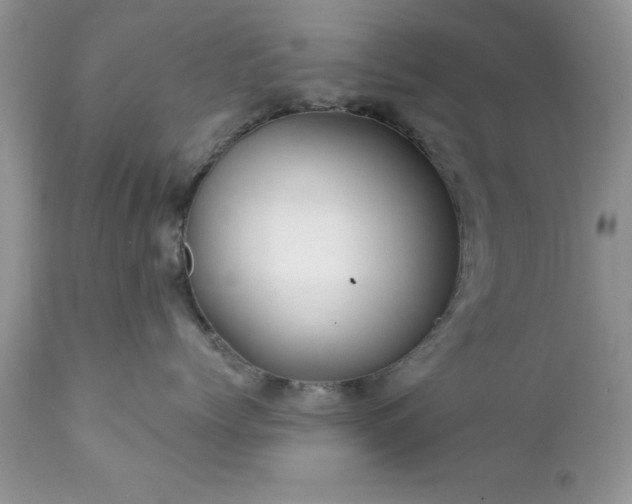 X0000111790768200907301145