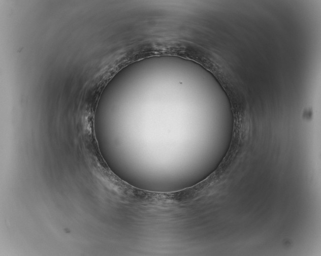 X0000111790770200907301144