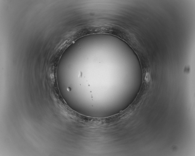 X0000111790771200907301144