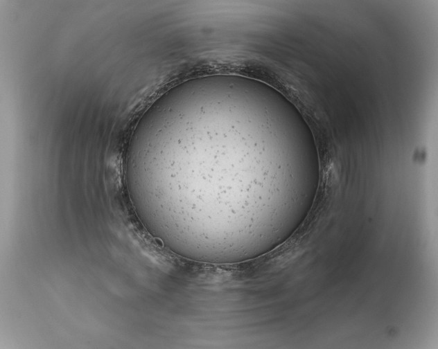 X0000111790772200907301144