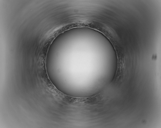 X0000111790773200907301144