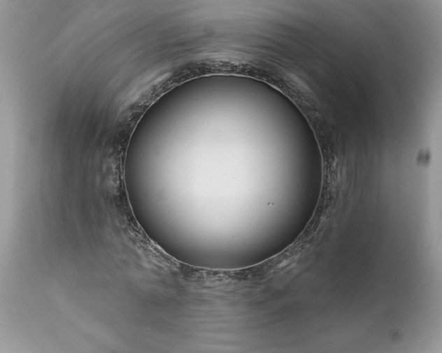 X0000111790774200907301144