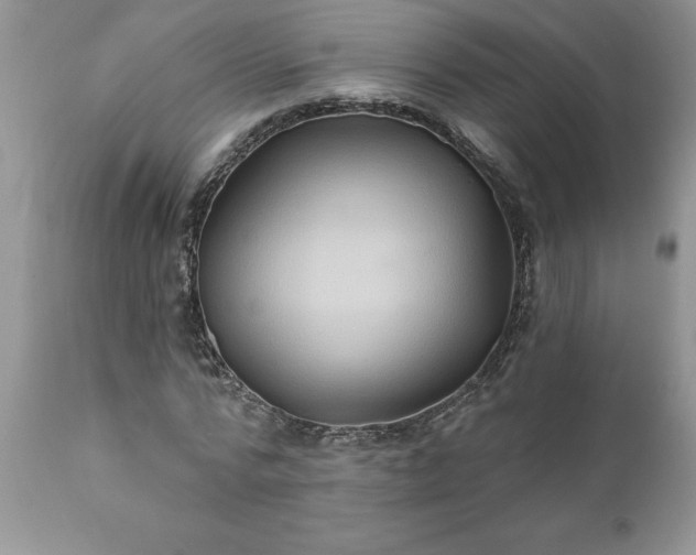 X0000111790776200907301144