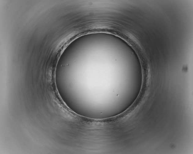 X0000111790777200907301144