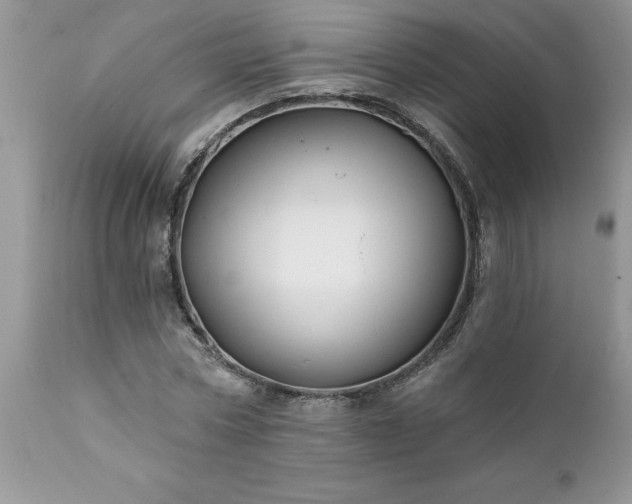 X0000111790778200907301144