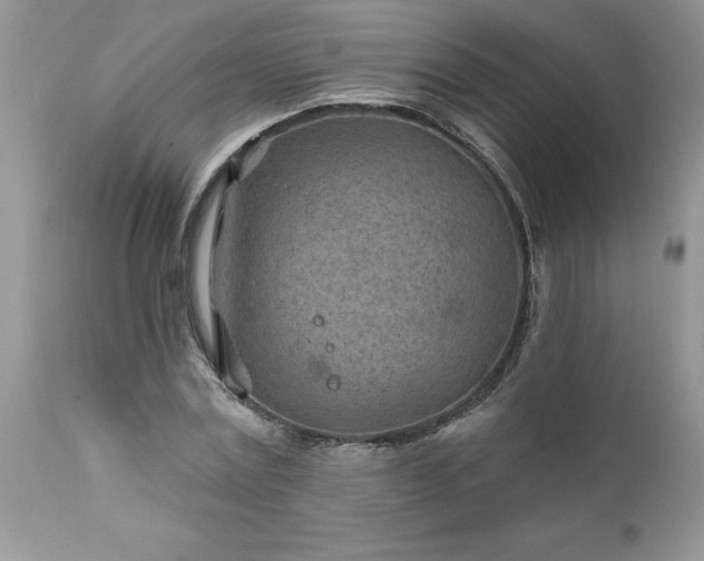 X0000111790779200907301144