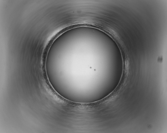 X0000111790780200907301144