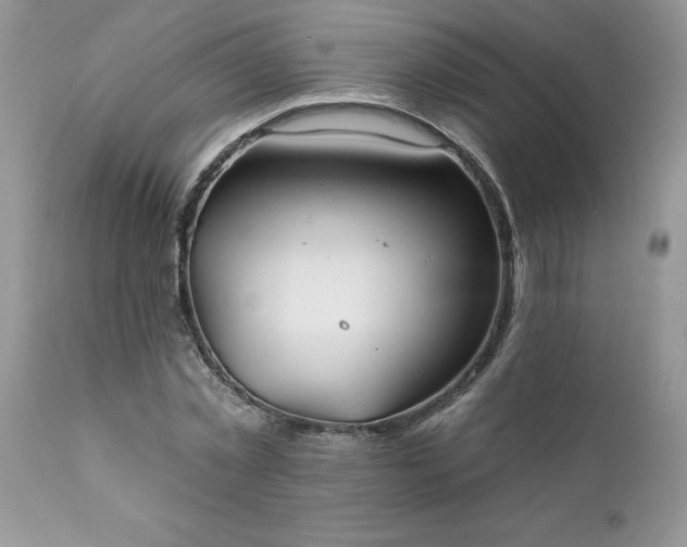 X0000111790781200907301144