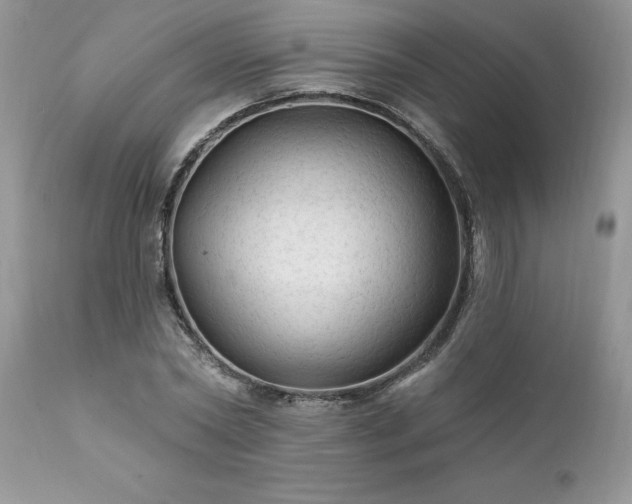 X0000111790782200907301144