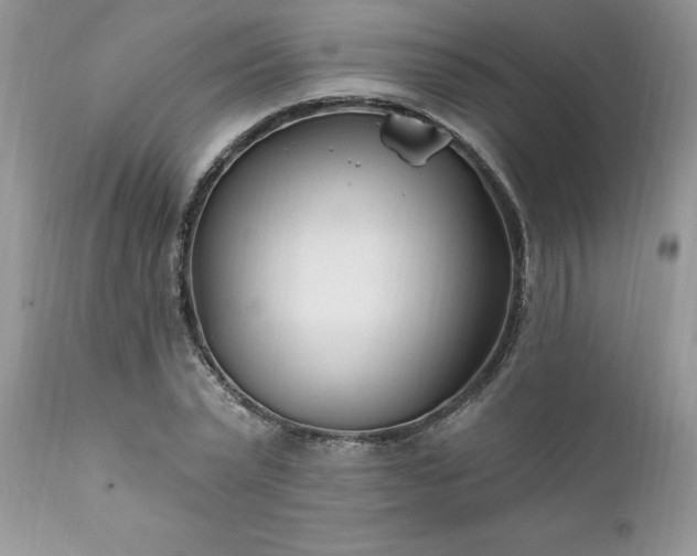 X0000111790783200907301144