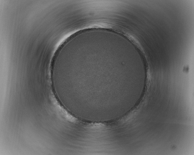 X0000111790784200907301144