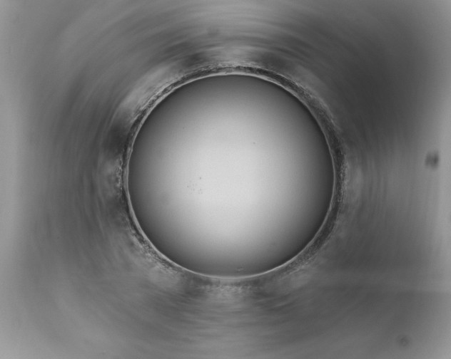 X0000111790785200907301144