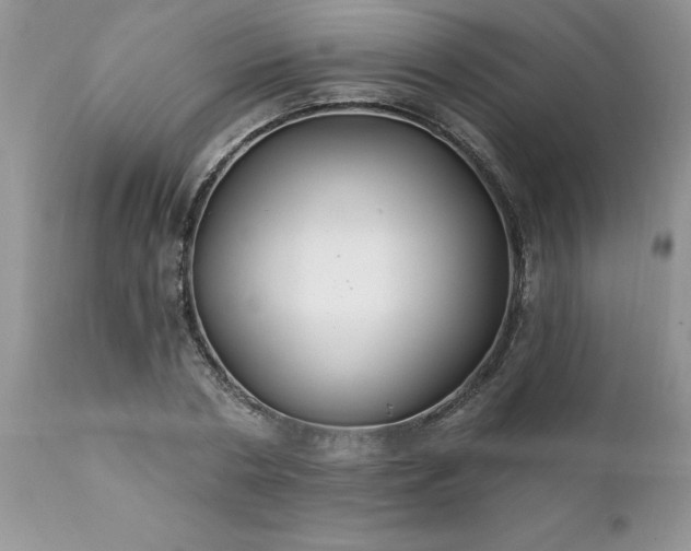 X0000111790786200907301144