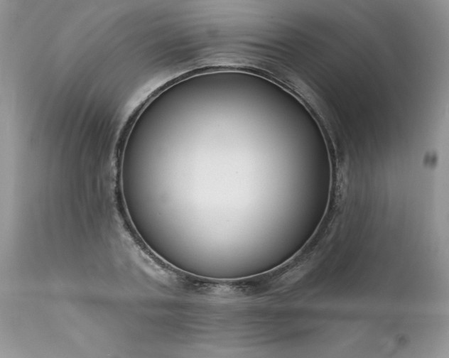 X0000111790787200907301144