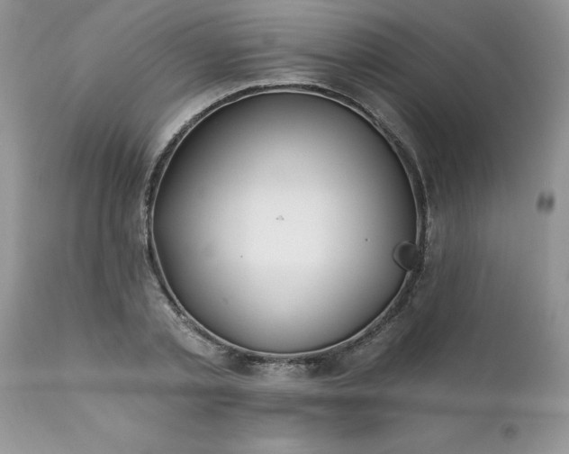 X0000111790789200907301144