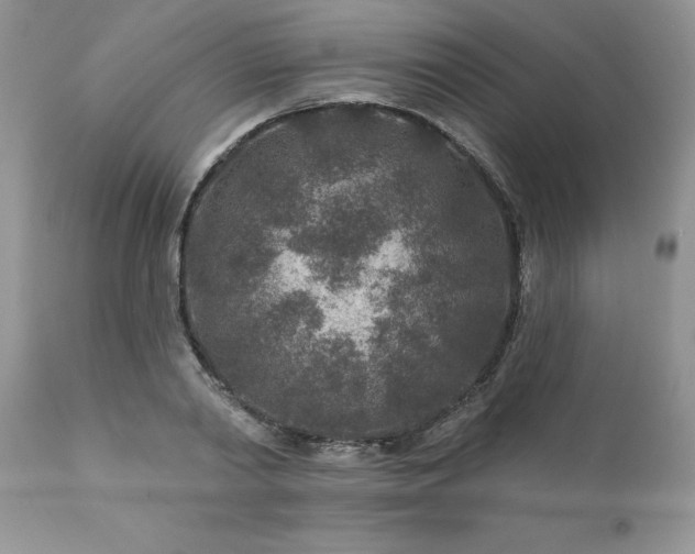 X0000111790790200907301144