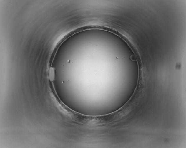 X0000111790791200907301144